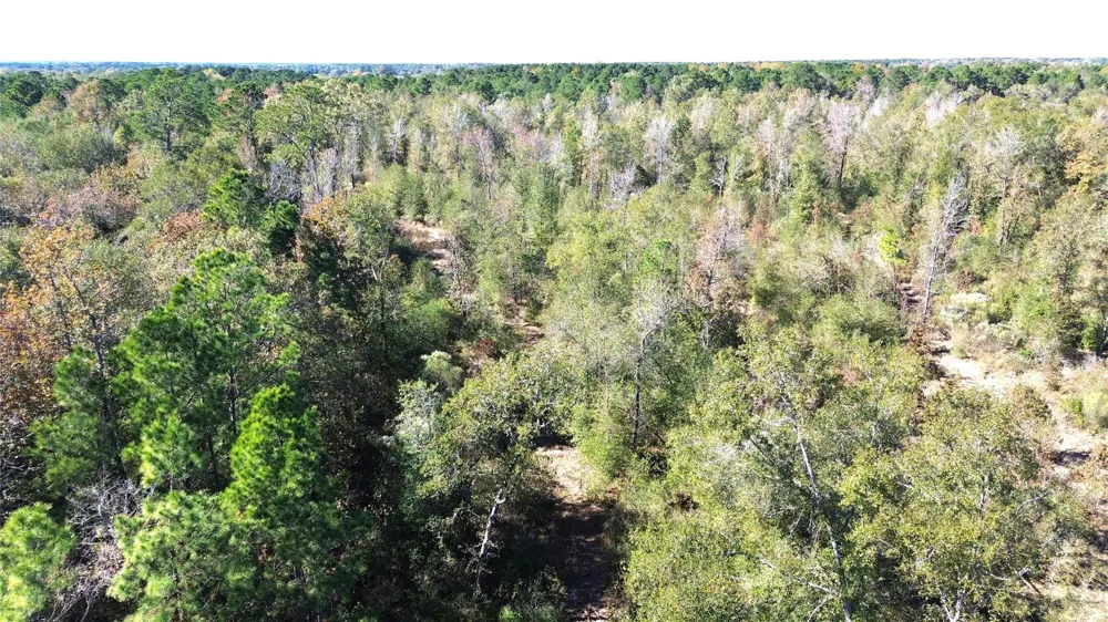 Fm 1280 East Lovelady, TX 75851