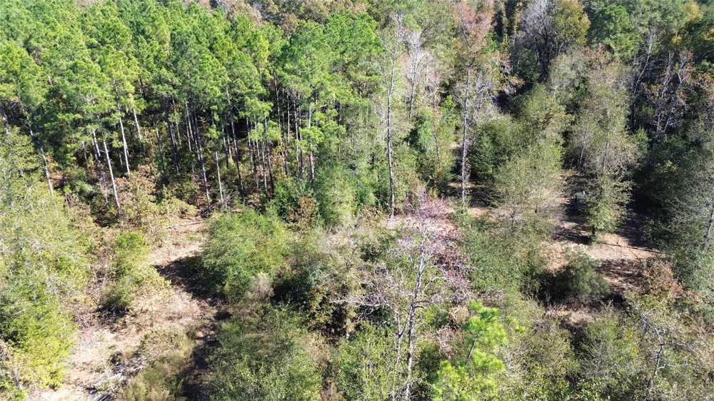 Fm 1280 East Lovelady, TX 75851