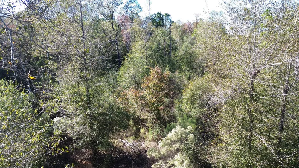 Fm 1280 East Lovelady, TX 75851