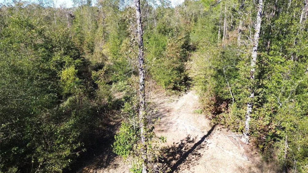 Fm 1280 East Lovelady, TX 75851