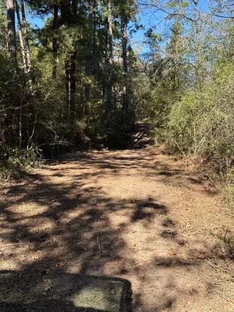 Fm 1280 East Lovelady, TX 75851