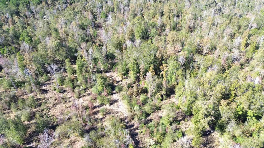 Fm 1280 East Lovelady, TX 75851