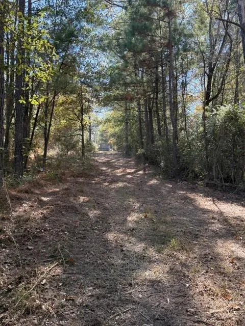 Fm 1280 East Lovelady, TX 75851