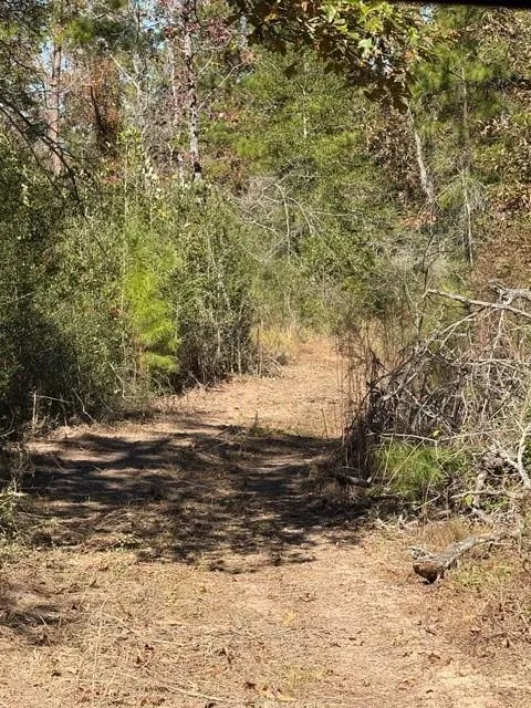 Fm 1280 East Lovelady, TX 75851