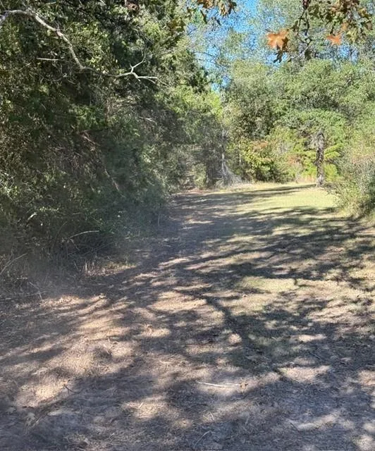 Fm 1280 East Lovelady, TX 75851