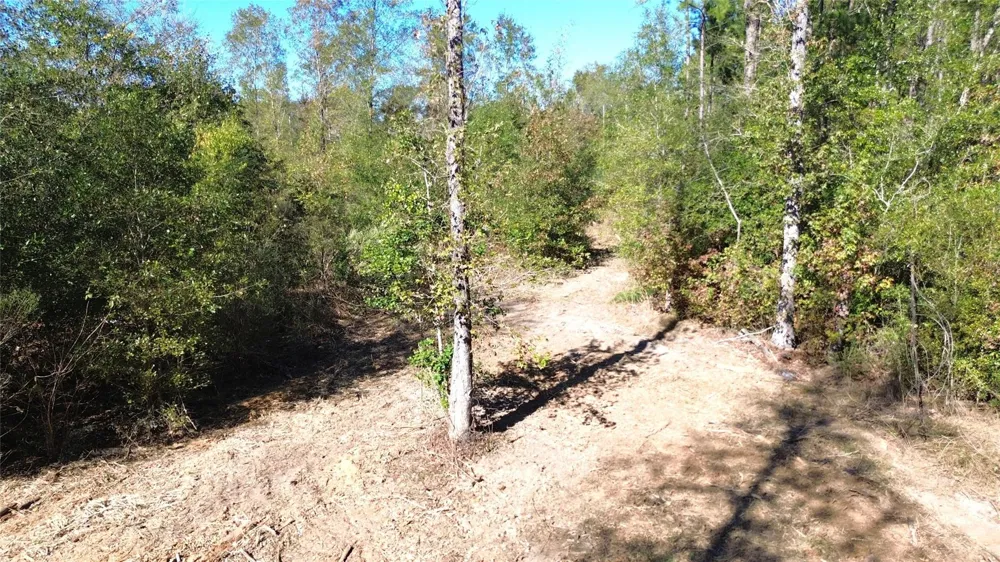 Fm 1280 East Lovelady, TX 75851