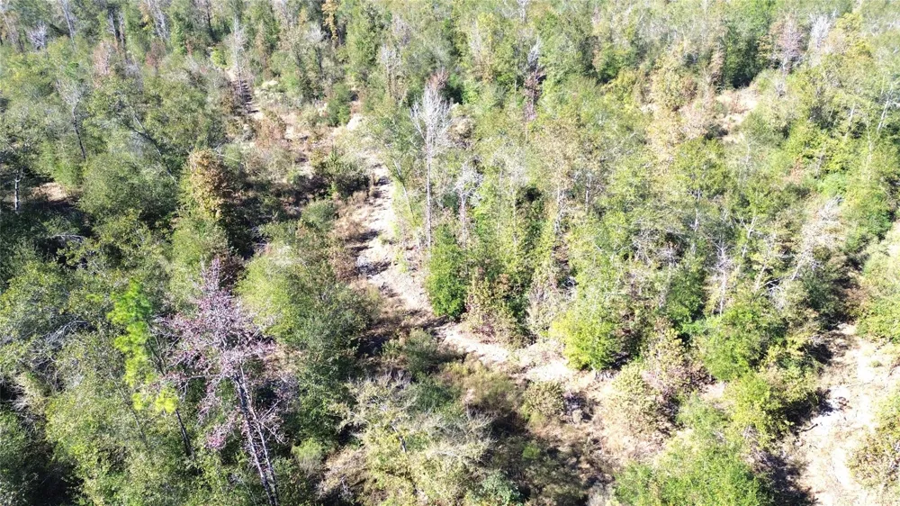 Fm 1280 East Lovelady, TX 75851