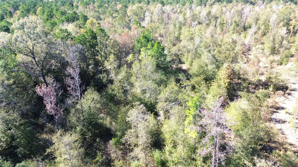 Fm 1280 East Lovelady, TX 75851