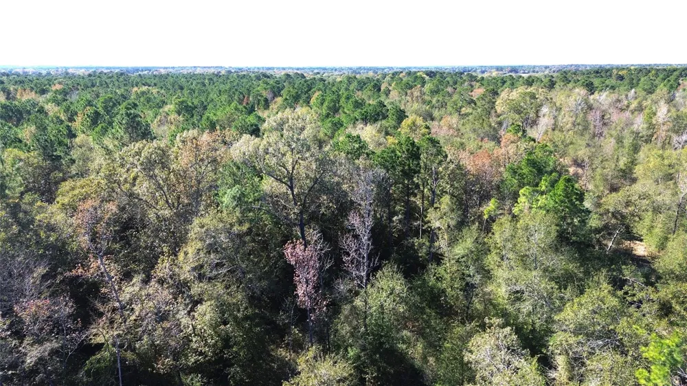 Fm 1280 East Lovelady, TX 75851