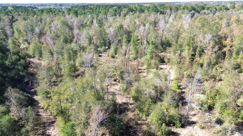 Fm 1280 East Lovelady, TX 75851
