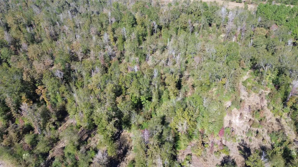 Fm 1280 East Lovelady, TX 75851