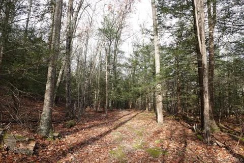 738 Manorville Road