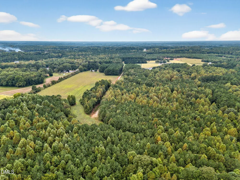 Lot 1 Braxton Ridge Lane Spring Hope, NC 27882