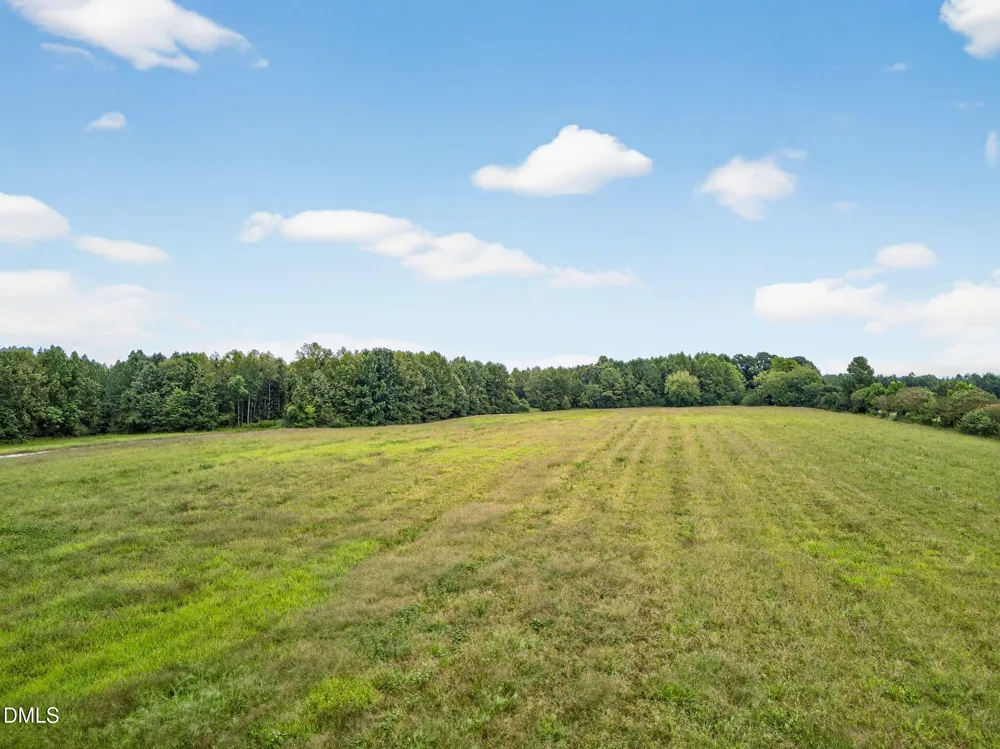 Lot 1 Braxton Ridge Lane Spring Hope, NC 27882