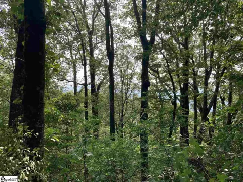 Boulder Lookout Drive #Lot 151