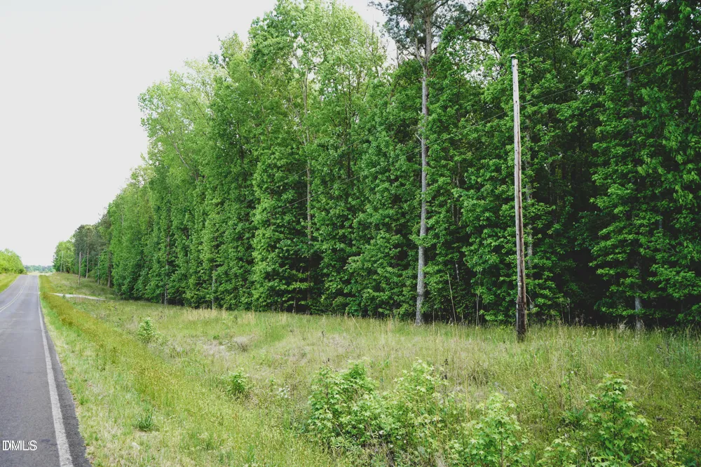 Lot 4 Arthur Wilder Road Spring Hope, NC 27882