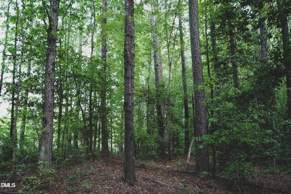 Lot 4 Arthur Wilder Road Spring Hope, NC 27882