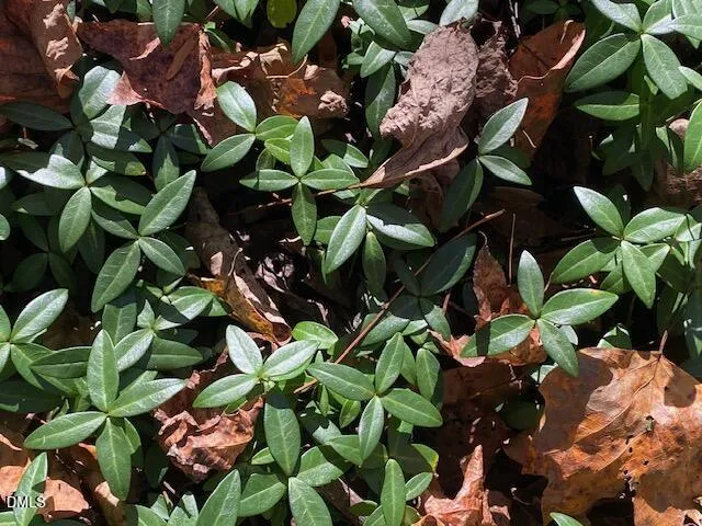 Lot 5 Sepelo Way Efland, NC 27243