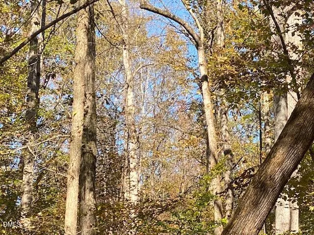 Lot 5 Sepelo Way Efland, NC 27243