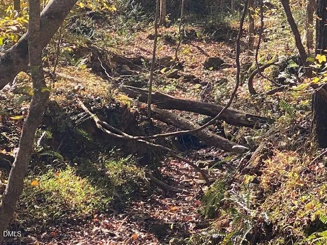 Lot 5 Sepelo Way Efland, NC 27243