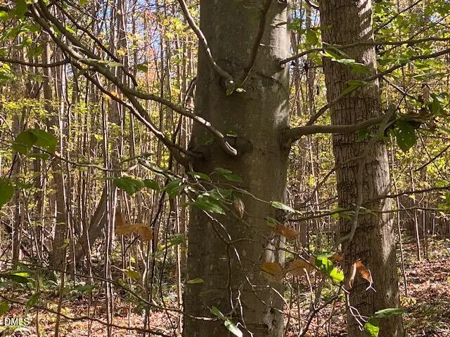 Lot 5 Sepelo Way Efland, NC 27243