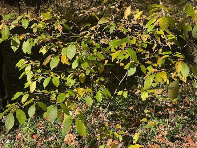 Lot 5 Sepelo Way Efland, NC 27243