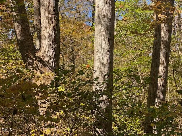 Lot 5 Sepelo Way Efland, NC 27243