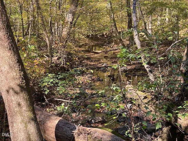 Lot 5 Sepelo Way Efland, NC 27243