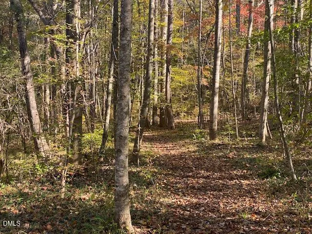 Lot 5 Sepelo Way Efland, NC 27243