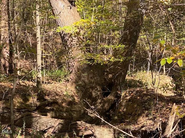 Lot 5 Sepelo Way Efland, NC 27243