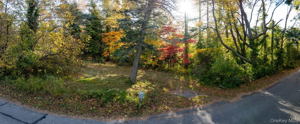 81 Old Broadway Avenue Sayville, NY 11782