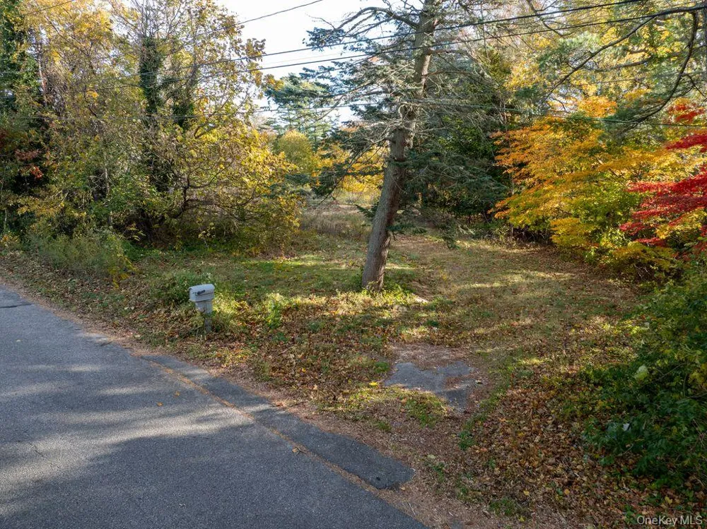 81 Old Broadway Avenue Sayville, NY 11782