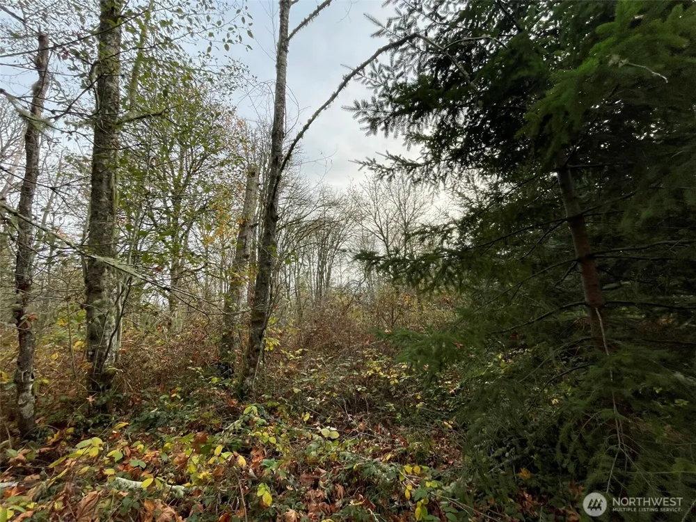 10312 SW 156th Street Vashon, WA 98070