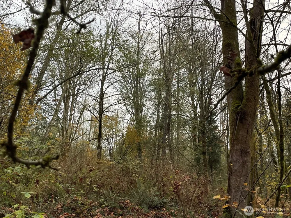 10312 SW 156th Street Vashon, WA 98070