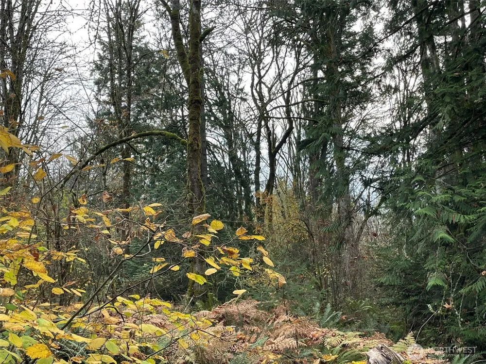 10312 SW 156th Street Vashon, WA 98070