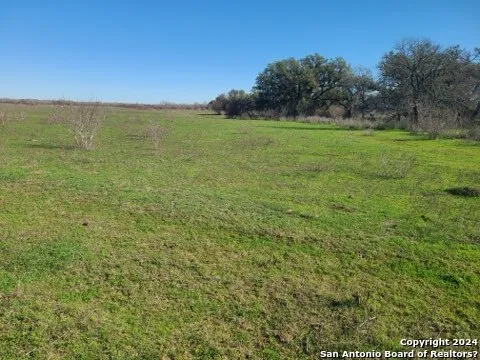 TBD TRACT 1 ST HWY 119 Stockdale, TX 78160