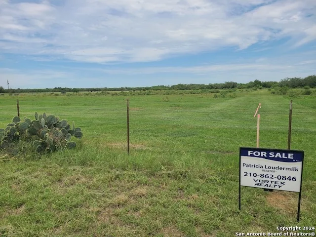 TBD TRACT 1 ST HWY 119 Stockdale, TX 78160