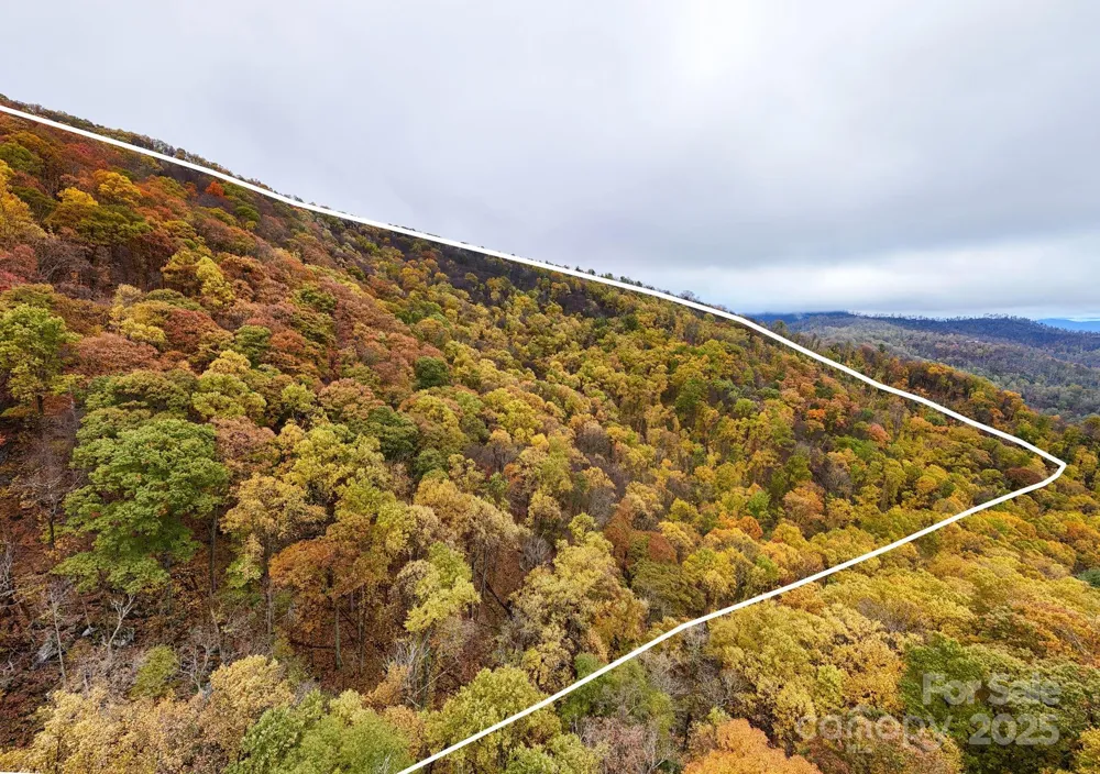 00 Ox Creek Road Weaverville, NC 28787