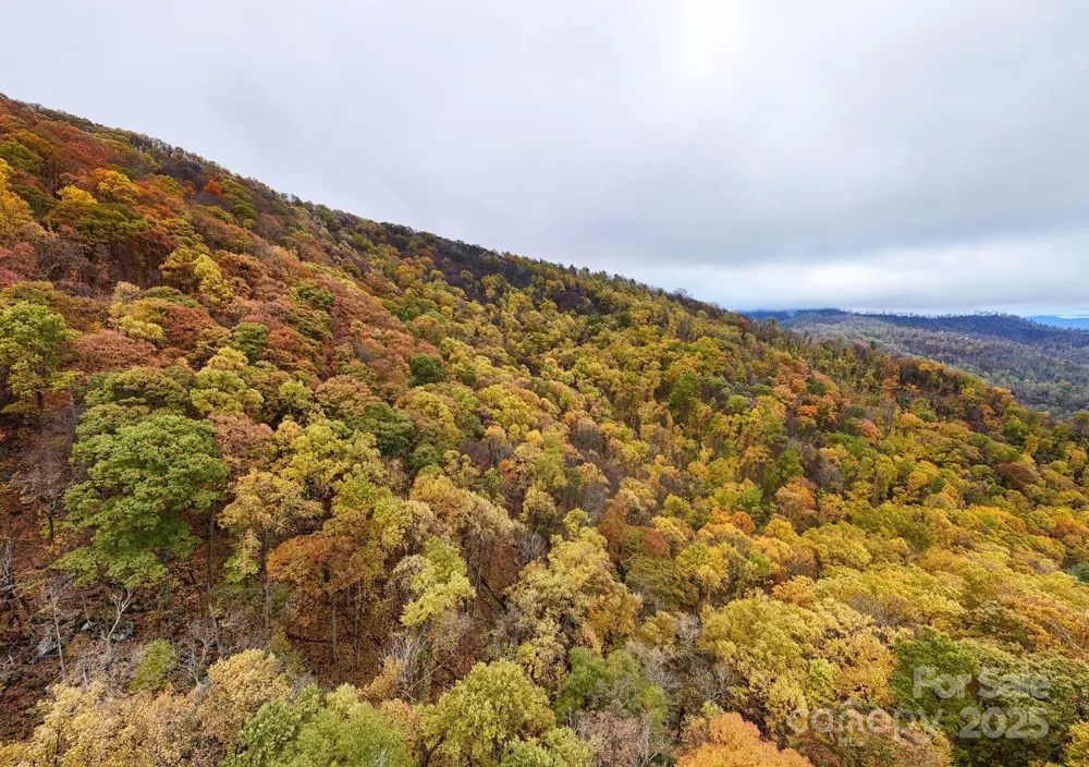 00 Ox Creek Road Weaverville, NC 28787