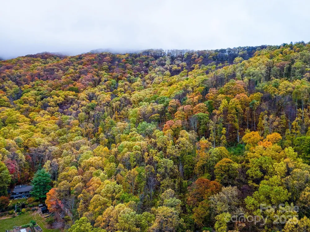 00 Ox Creek Road Weaverville, NC 28787