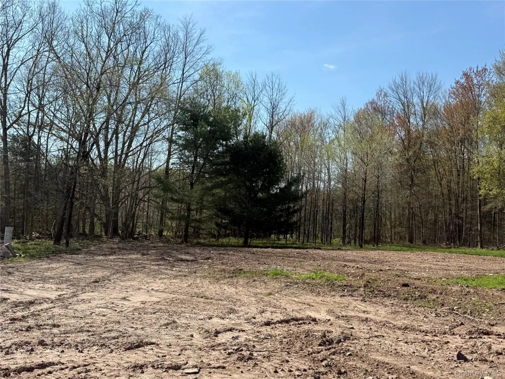 1114 County Road 114 Cochecton, NY 12726