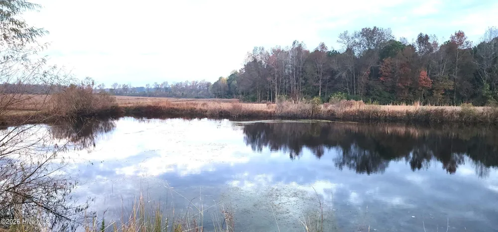 1553 Nc 41 Highway Pink Hill, NC 28572