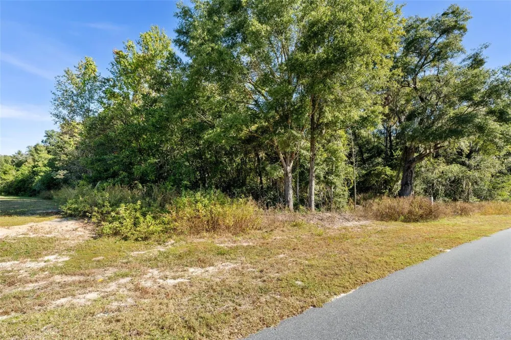 18928 SW 21ST PLACE Newberry, FL 32669