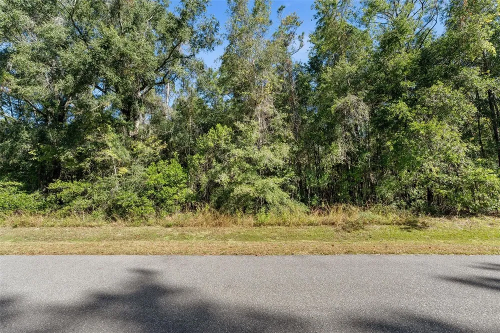 18928 SW 21ST PLACE Newberry, FL 32669