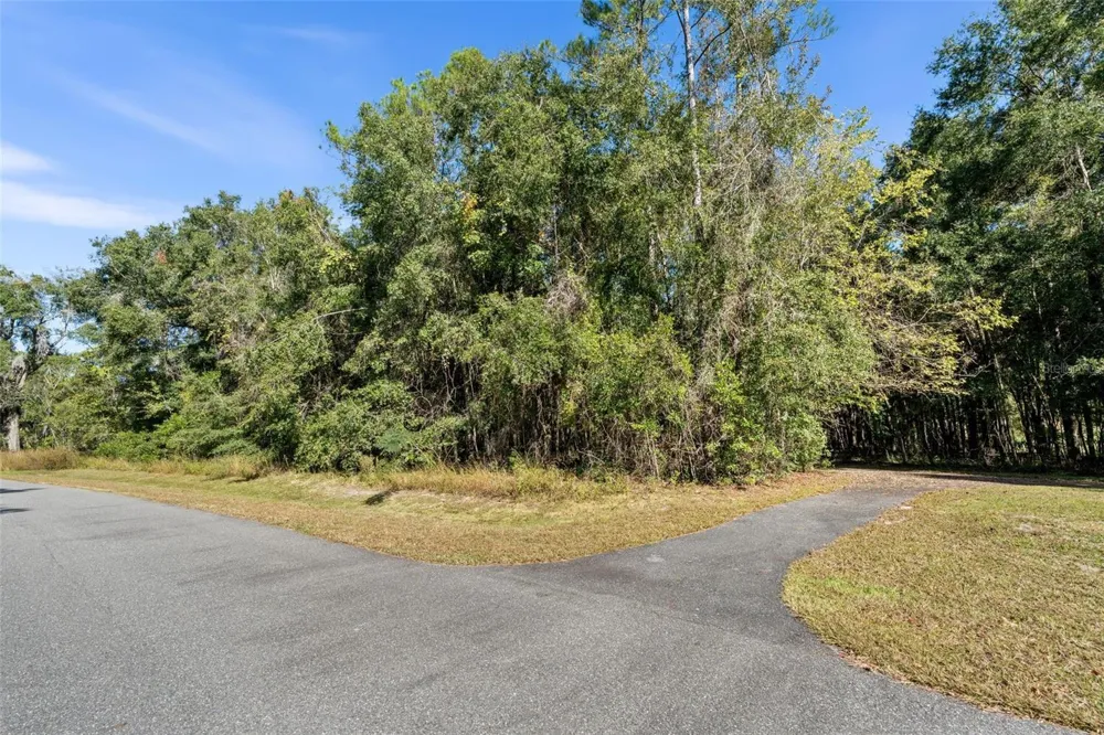 18928 SW 21ST PLACE Newberry, FL 32669