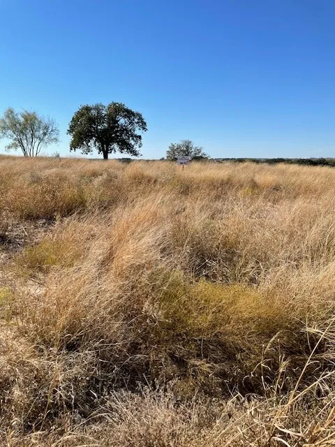 County Road 333 Blanket, TX 76432