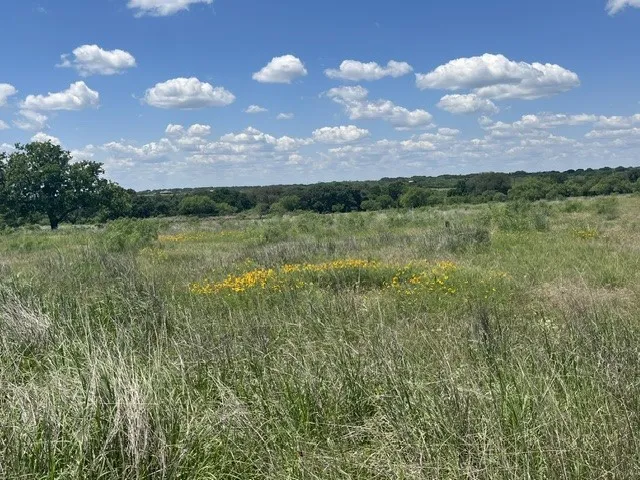 County Road 333 Blanket, TX 76432