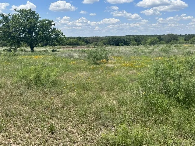 County Road 333 Blanket, TX 76432