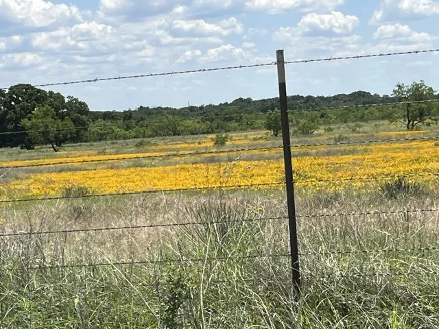 County Road 333 Blanket, TX 76432