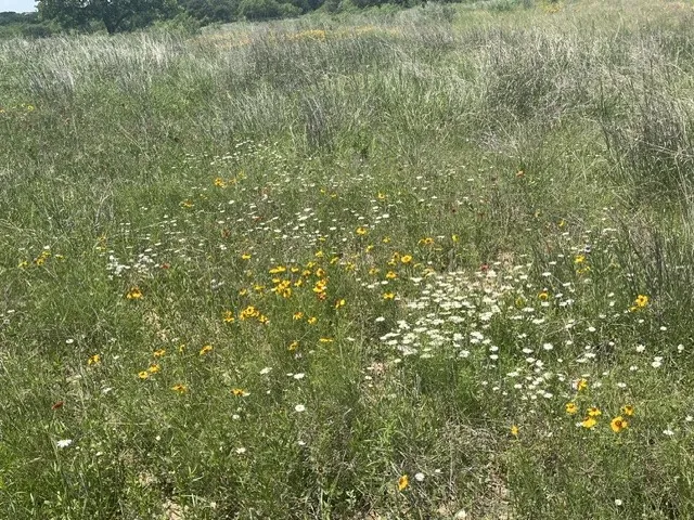 County Road 333 Blanket, TX 76432